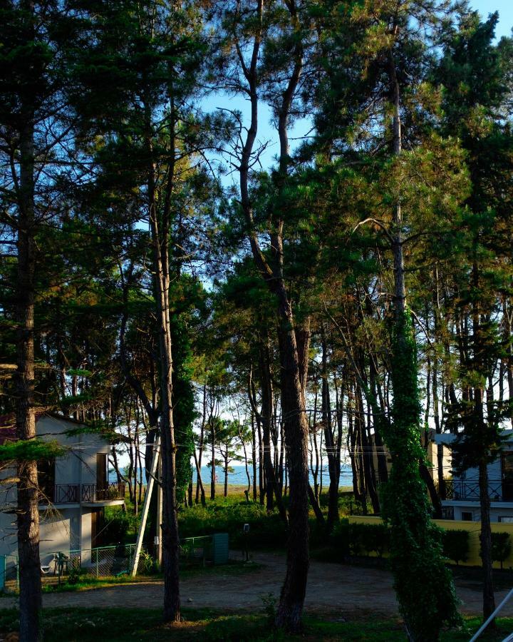 Restcoast Villa Shekhvetili Exterior photo